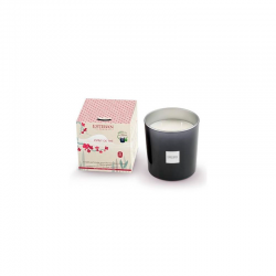 Refillable Large Scented Candle 450gr Tea Spirit - Esteban Parfums