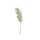 Fern Leaf Twig - Deko Green - Asa Selection ASA SELECTION ASA66658444