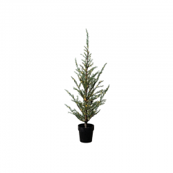 Cedar Tree Green 100cm - Milas - Sirius