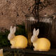 Set of 2 Rabbits in Led White - Elin - Sirius SIRIUS SR13303