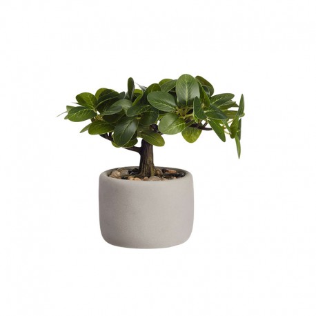 Bonsai Ficus Artificial – Deko Green And Grey - Asa Selection ASA SELECTION ASA66223444