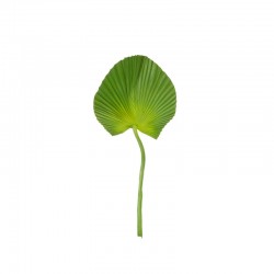 Ruffed Fan Palm Leaf Twig - Deko Green - Asa Selection ASA SELECTION ASA66656444