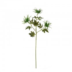 Artificial Thistle Twig 67cm Green – Deko - Asa Selection ASA SELECTION ASA66645444