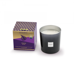Refillable Large Scented Candle - Figue Noire - Esteban Parfums ESTEBAN PARFUMS ESTFIG-050
