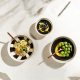 Salad Bowl ø27,5cm Salto - Variété du Soleil Black And White - Asa Selection ASA SELECTION ASA58273248