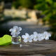 Scented Flower 75ml - Lemongrass & Mint - Esteban Parfums ESTEBAN PARFUMS ESTBCM-008