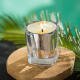 Scented Candle 180gr - Sandalwood & Coconut Blossom - Esteban Parfums ESTEBAN PARFUMS ESTESF-005