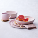 Pasta Plate 960ml Shell Pink - Coupe - Le Creuset LE CREUSET LC70156967777080