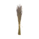 Flores Artificiais Lavanda 40-60cm - Deko - Asa Selection ASA SELECTION ASA66695444