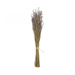 Artificial Flower Lavender 40-60cm - Deko - Asa Selection ASA SELECTION ASA66695444