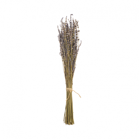 Artificial Flower Lavender 40-60cm - Deko - Asa Selection ASA SELECTION ASA66695444