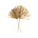 Artificial Flower 3x Leaf Palm 20-30cm - Deko - Asa Selection ASA SELECTION ASA66502444