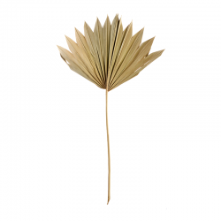 Artificial Flower 3x Leaf Palm 30-40cm - Deko - Asa Selection ASA SELECTION ASA66503444