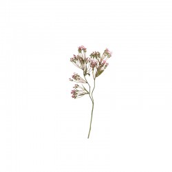 Haste Flor de Cerejeira Rosa 43cm - Deko - Asa Selection ASA SELECTION ASA66675444