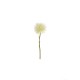 Artificial Pompon Twig White 40cm - Deko - Asa Selection ASA SELECTION ASA66660444