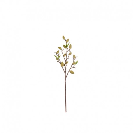 Leaf Branch Green 61cm - Deko - Asa Selection ASA SELECTION ASA66466444
