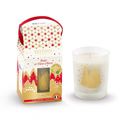 Refillable Scented Candle 180gr - Berries and Winter Flower - Esteban Parfums