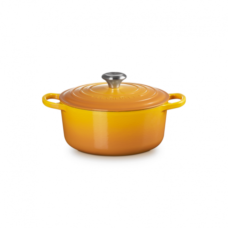 Cast Iron Round Casserole 24cm Nectar - Evolution - Le Creuset LE CREUSET LC21177246724430