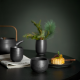 Tea Bowl 200ml Black - Japandi - Asa Selection ASA SELECTION ASA23081190