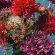 Artificial Chrysanthemum Twig 90cm Rose - Deko - Asa Selection ASA SELECTION ASA66663444