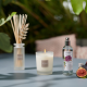Scented Bouquet 100ml - Garrigue Fig Tree - Esteban Parfums ESTEBAN PARFUMS ESTBFG-001