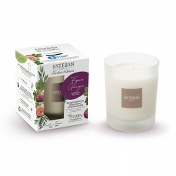 Scented Candle 180gr - Garrigue Fig Tree - Esteban Parfums ESTEBAN PARFUMS ESTBFG-004