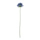 Artificial Agapanthus Twig 75cm Blue - Deko - Asa Selection ASA SELECTION ASA66628444