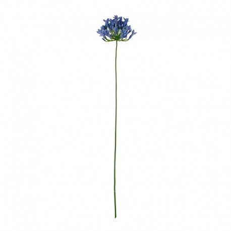 Artificial Agapanthus Twig 75cm Blue - Deko - Asa Selection ASA SELECTION ASA66628444