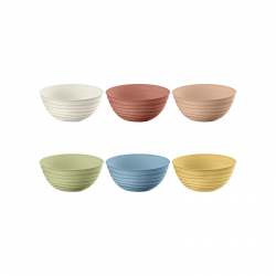 Set of 6 Bowls Assorted - Tierra - Guzzini