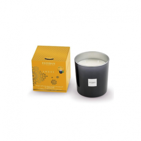 Rechargeable Scented Candle 450gr Amber - Ambre - Esteban Parfums ESTEBAN PARFUMS ESTAMB-112