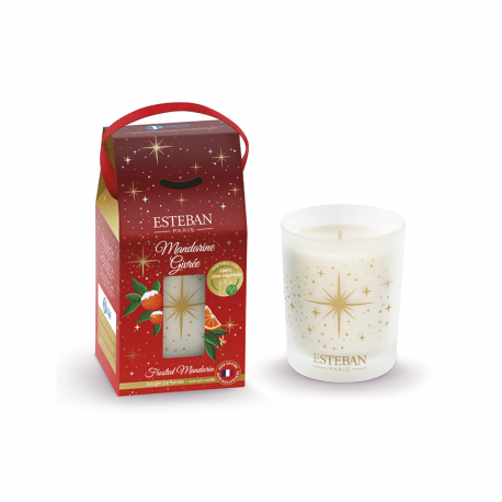 Scented Candle 180gr - Frosted Mandarin - Esteban Parfums ESTEBAN PARFUMS ESTELN-165