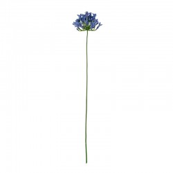 Artificial Agapanthus Twig 75cm Blue - Deko - Asa Selection ASA SELECTION ASA66628444