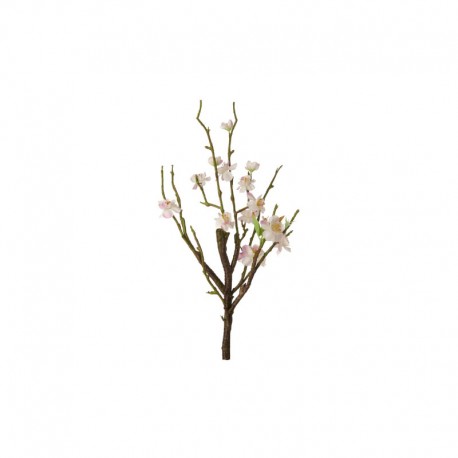 Bloom Spray Twig - Deko Rose - Asa Selection ASA SELECTION ASA66461444