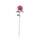 Artificial Chrysanthemum Twig 90cm Rose - Deko - Asa Selection ASA SELECTION ASA66663444