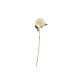 Artificial Chrysanthemum Twig 53cm White - Deko - Asa Selection ASA SELECTION ASA66677444