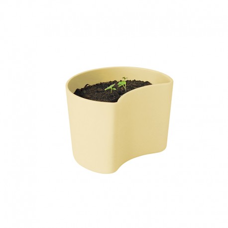 Planting Pot with Seeds Yellow - Your Tree - Rig-tig RIG-TIG RTZ00136