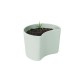 Planting Pot with Seeds Green - Your Tree - Rig-tig RIG-TIG RTZ00136-1