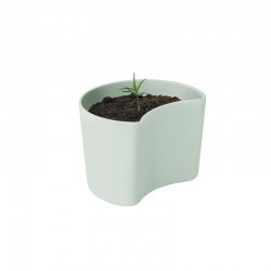 Planting Pot with Seeds Green - Your Tree - Rig-tig RIG-TIG RTZ00136-1