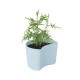 Planting Pot with Seeds Blue - Your Tree - Rig-tig RIG-TIG RTZ00136-3