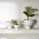 Vaso com Pé Shoft Shell 15,5cm - Midoro - Asa Selection ASA SELECTION ASA2220249