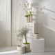 Vase Summer Sand 16cm - Loopy Beige - Asa Selection ASA SELECTION ASA72012329