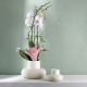 Vase Champignon 19,5cm - Belly Beige - Asa Selection ASA SELECTION ASA74001436