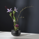 Cuenco Kombu 16,5cm - Moribana Negro - Asa Selection ASA SELECTION ASA10350403