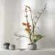 Cuenco Ishi 16,5cm - Moribana Gris - Asa Selection ASA SELECTION ASA10350404