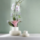 Vase Champignon 11cm - Belly Beige - Asa Selection ASA SELECTION ASA74000436