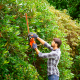 Cortasetos 550W 60cm con Hoja de Sierra Naranja - Black Decker BLACK DECKER BEHTS451