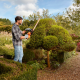 550W 60cm Hedge Trimmer with Saw Blade Orange - Black Decker BLACK DECKER BEHTS451