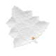 Prato de Servir Branco 22x22 cm - Holly & Berries - Easy Life EASY LIFE ELR2172HOLW