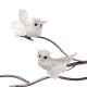Assorted White Owl Ornament 10cm - Goodwill GOODWILL GWMC39733