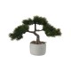 Bonsai Pinheiro Anão Artificial – Deko Verde E Cinza - Asa Selection ASA SELECTION ASA66221444